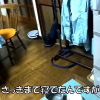 まさかの場所にいたりゅうさん2