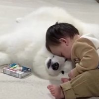 枕になることを決意
