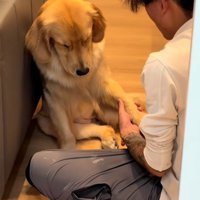 おかわりするムーンちゃん