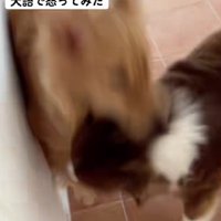 注意が耳に入らない…