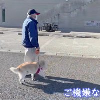 ゴキゲンな足取り♪