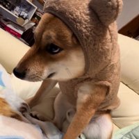 小さすぎてピチピチ！！