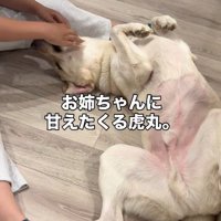甘えん坊全開♡