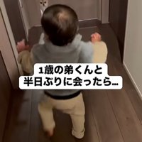ハナちゃんに向かって歩く弟くん