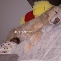 泣き止んでる…