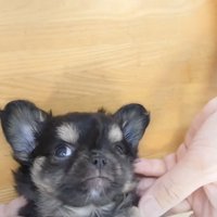 ナデナデをしっかりと満喫