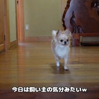 すぐに戻ってきました