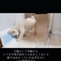 自力でトイレを済ませ…