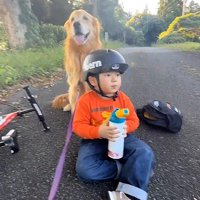 のんびりしたお散歩