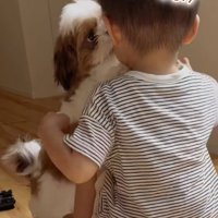 男の子の顔に飛びつく子犬