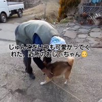 おじいちゃんっ子のじゅんこちゃん