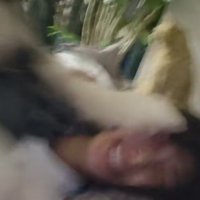 盛大なパンチも