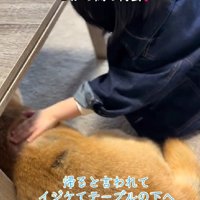 拗ねた子どものよう…