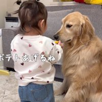 「どうぞ！！」