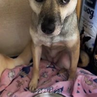 お父さんに甘えた表情