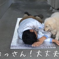 心配してくれるメイちゃん