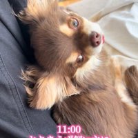 甘えん坊で可愛い！