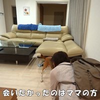 ママさんの愛が止まりません…！