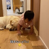 踏まないように通過！