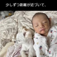 ピッタリくっついてZZZ…