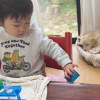 一安心して眠るゴンちゃん＆懲りない女の子