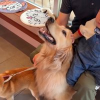 動物病院へやってきた