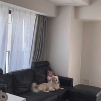 こたつ君と赤ちゃんの日常3