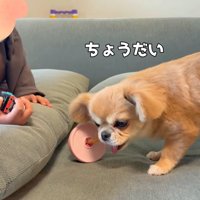 オヤツを返してくれました