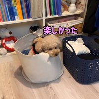 いちごちゃんも満足そう♪