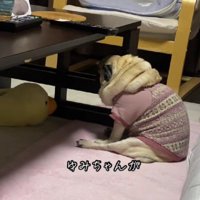 背中で語るユミルちゃん