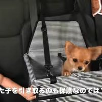 家族として迎えることに