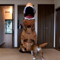 恐竜を嗅ぐブルドッグ