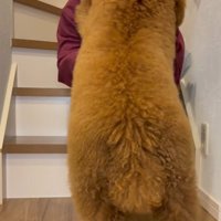 抱っこしようとしたら…