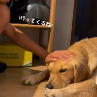 もう一度ナデナデしてから出発♪