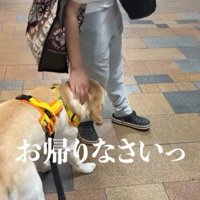 ママさんのお迎えに来たレオンくん8