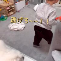 リリちゃんと赤ちゃん⑩