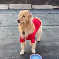 寂しくてしょんぼり