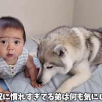 お手々をペロペロ♡