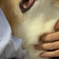 「可愛く撮れるかな？」
