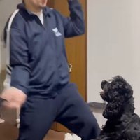 おもちゃで遊ぶパパ