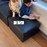 男の子が段差を降りる時のサクくん8