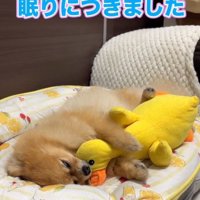 尊い姿にホッコリ♡