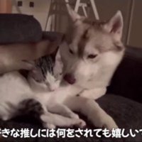 大好きだから許せるね