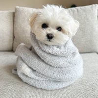 包まれる