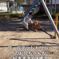 ママを見る息子さん