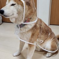 スケルトン衣装のよう！