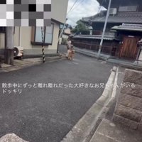 お散歩中のれおんちゃん