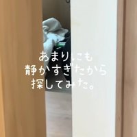 愛犬と息子が静かすぎる