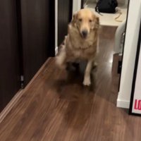 晴れやかな笑顔♡