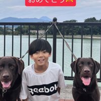 犬2匹と子どもが並んで座っている誕生日の記念写真